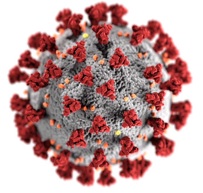 Corona Virus is Not the Flu - Its Much Worse