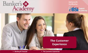 The Customer Experience - eBSI Export Academy