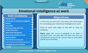 Emotional Intelligence at work - eBSI Export Academy