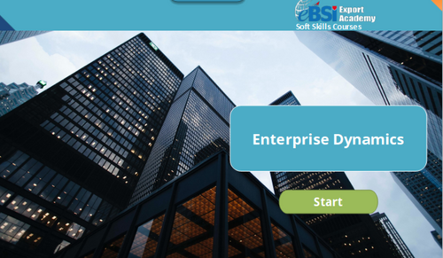 Enterprise Dynamics