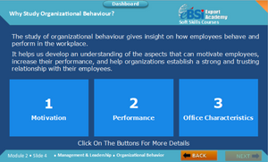 Organizational Behavior