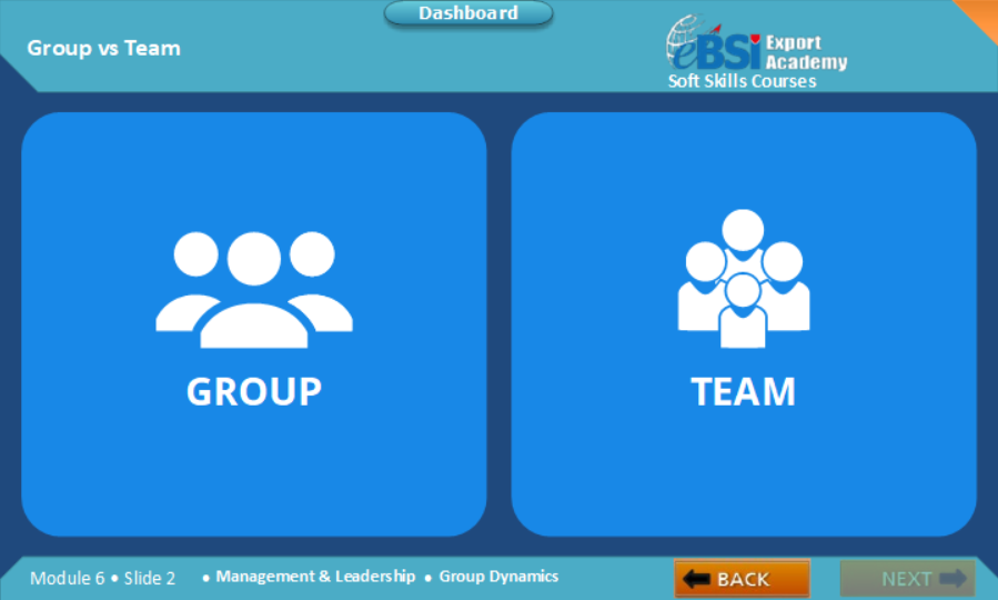 Group Dynamics