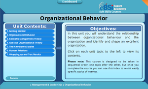 Organizational Behavior