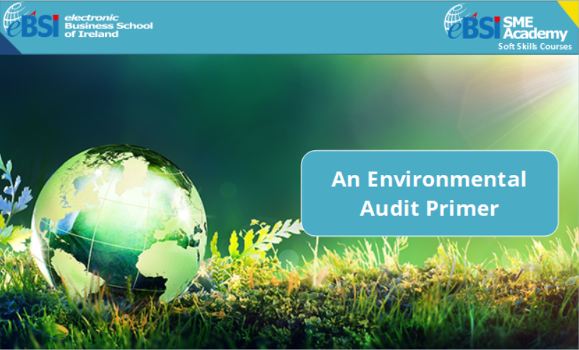 An Environmental Audit Primer