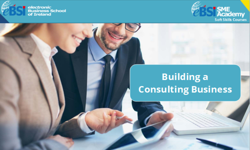 Building a Consulting Business
