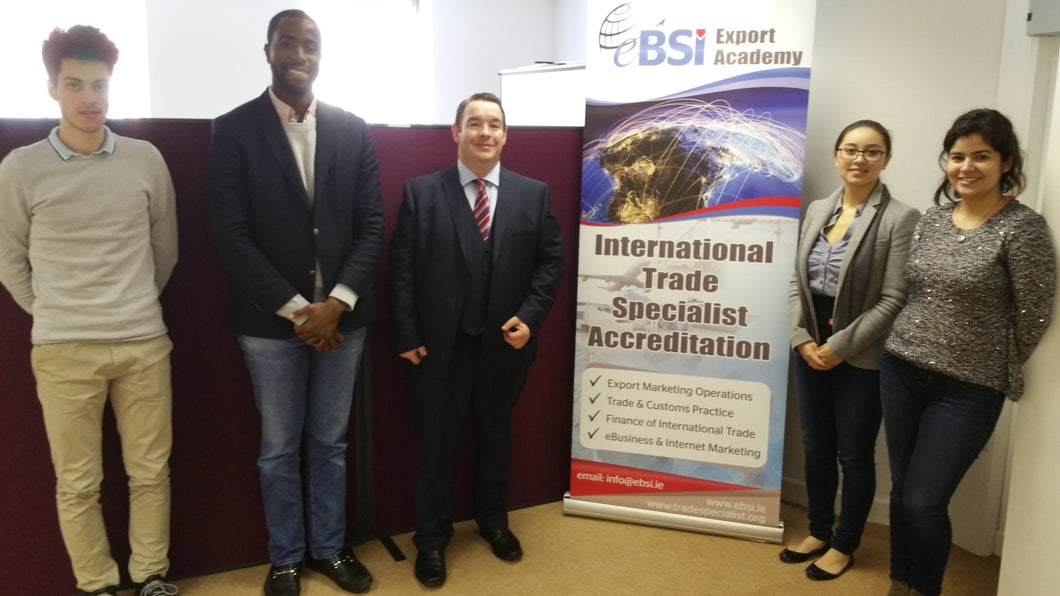 LMS Consultancy Services - eBSI Export Academy