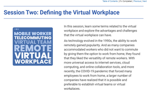 Managing the Virtual Workplace