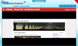 Traffic Generation - eBSI Export Academy