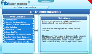 e-Entrepreneurship - eBSI Export Academy