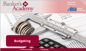 Budgeting - eBSI Export Academy
