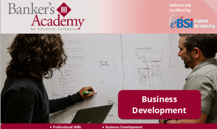 Business Development - eBSI Export Academy