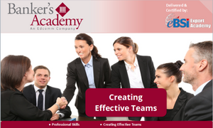 Creating Effective Teams - eBSI Export Academy