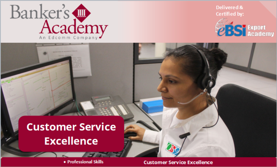 Customer Service Excellence – eBSI Export Academy