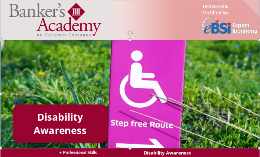 Disability Awareness - eBSI Export Academy