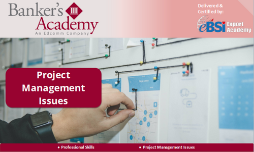 Project Management Issues - eBSI Export Academy