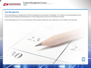Project Management Issues - eBSI Export Academy