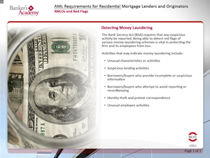 AML Requirements for RMLOs - eBSI Export Academy