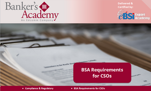 BSA Requirements for CSOs - eBSI Export Academy