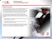 Load image into Gallery viewer, BSA Requirements for CSOs - eBSI Export Academy