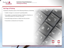 Load image into Gallery viewer, Common Fraud Schemes I - eBSI Export Academy