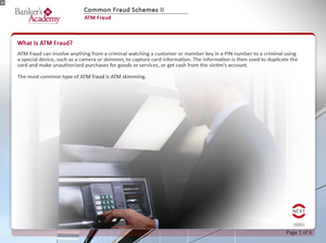 Common Fraud Schemes II - eBSI Export Academy