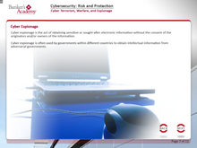 Load image into Gallery viewer, Cybersecurity Risk and Protection - eBSI Export Academy