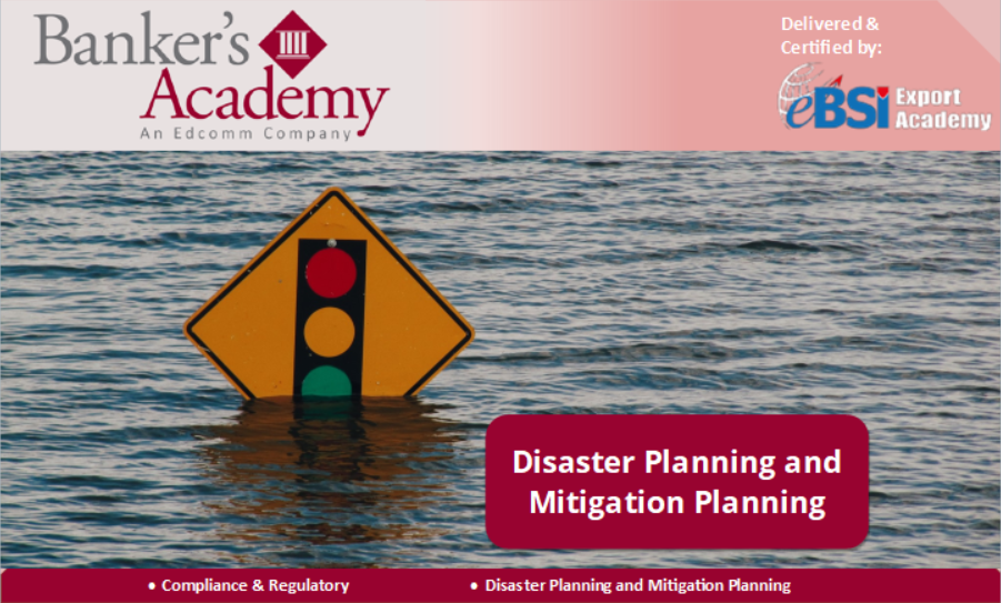 Disaster Prevention and Mitigation Planning - eBSI Export Academy