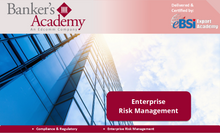 Load image into Gallery viewer, Enterprise Risk Management - eBSI Export Academy