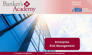 Enterprise Risk Management - eBSI Export Academy
