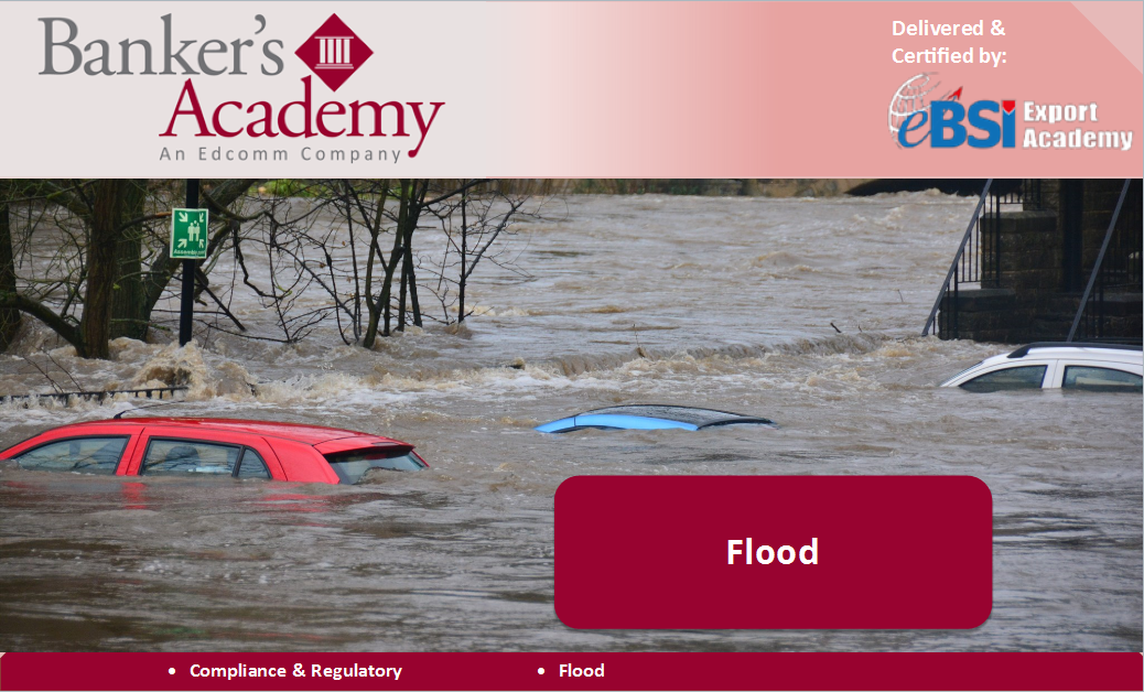 Flood - eBSI Export Academy