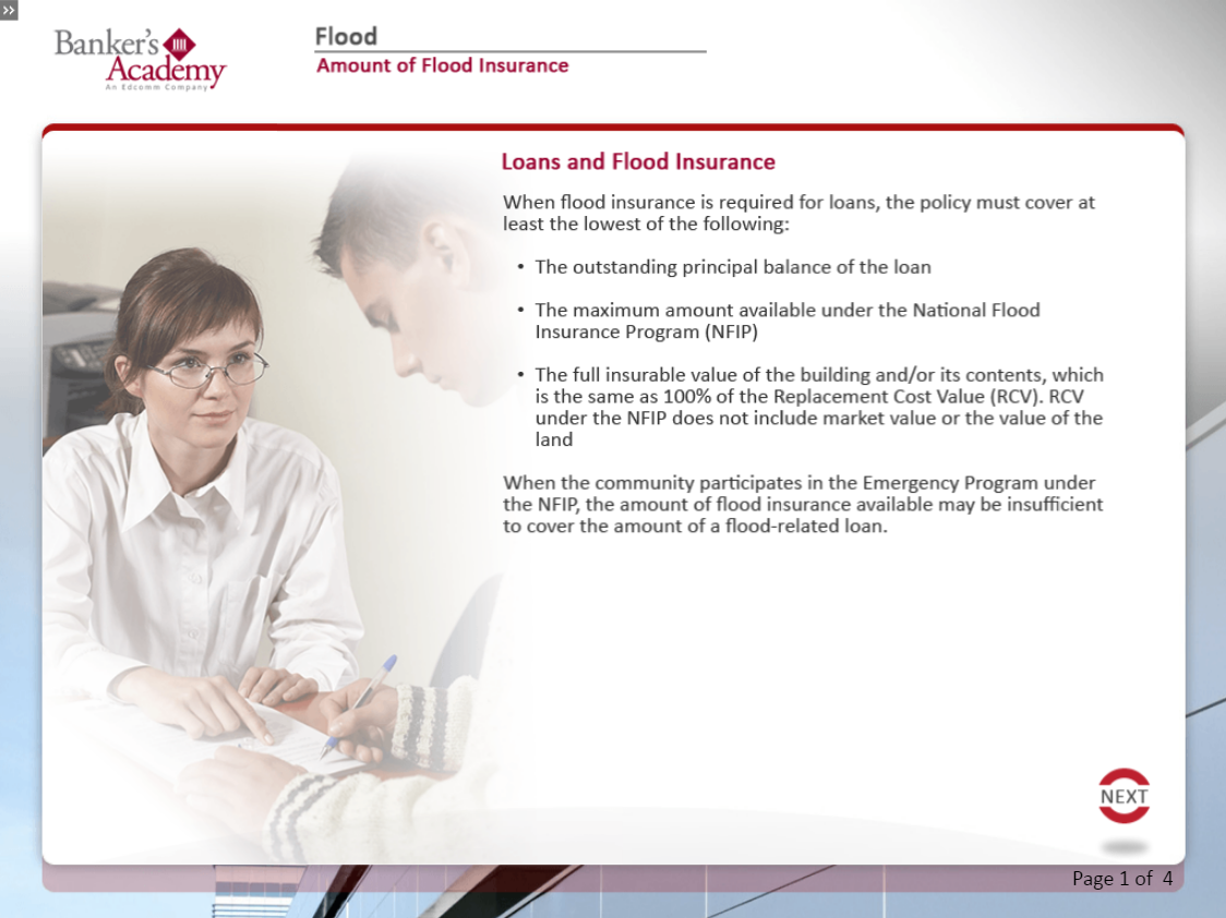 Flood - eBSI Export Academy