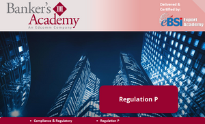 Regulation P: Privacy of Consumer Financial Information - eBSI Export Academy