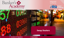 Load image into Gallery viewer, Swap Dealers - eBSI Export Academy