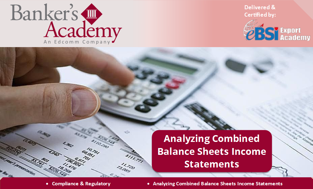 Analyzing Combined Balance Sheets Income Statements - eBSI Export Academy