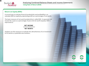 Analyzing Combined Balance Sheets Income Statements - eBSI Export Academy
