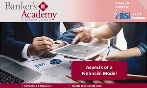 Aspects of a Financial Model - eBSI Export Academy