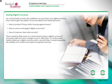 Load image into Gallery viewer, Cryptocurrencies - eBSI Export Academy