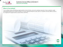 Load image into Gallery viewer, Customer Service Officer CSO Basics - eBSI Export Academy