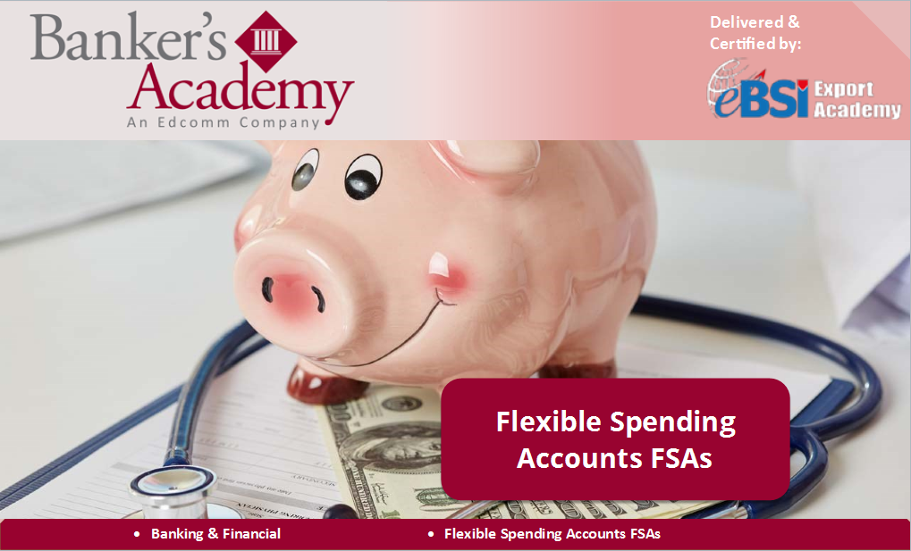 Flexible Spending Accounts FSAs - eBSI Export Academy