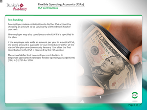 Flexible Spending Accounts FSAs - eBSI Export Academy