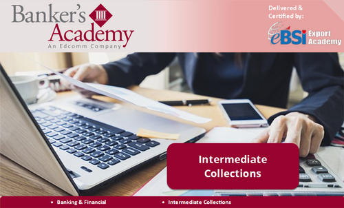 Intermediate Collections - eBSI Export Academy