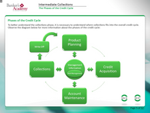 Load image into Gallery viewer, Intermediate Collections - eBSI Export Academy