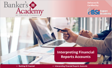Load image into Gallery viewer, Interpreting Financial Reports Accounts - eBSI Export Academy