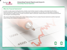 Load image into Gallery viewer, Interpreting Financial Reports Accounts - eBSI Export Academy