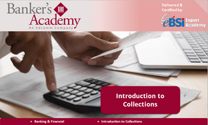 Introduction to Collections - eBSI Export Academy