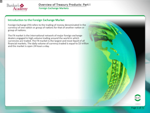 Overview of Treasury Products Part I - eBSI Export Academy