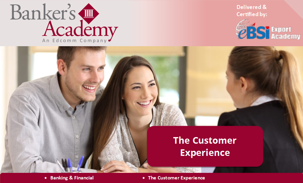 The Customer Experience - eBSI Export Academy