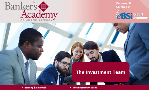 The Investment Team - eBSI Export Academy