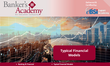 Load image into Gallery viewer, Typical Financial Models - eBSI Export Academy