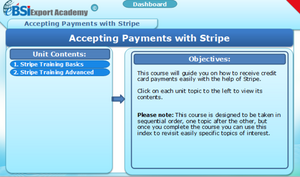 Accepting Payments with Stripe - eBSI Export Academy